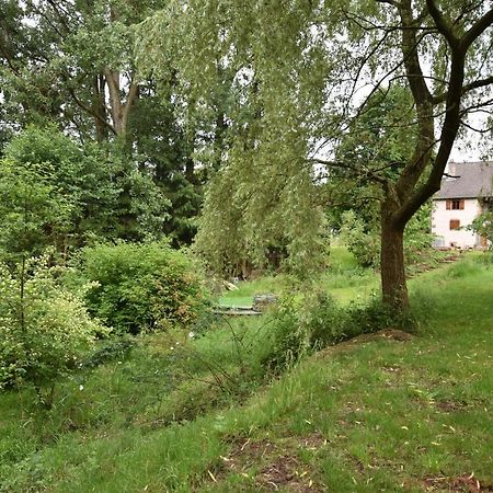 Serendipity Bed&Breakfast Saint-Die-des-Vosges Eksteriør bilde