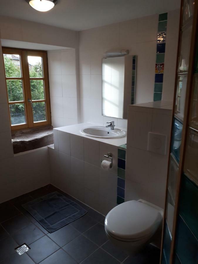 Serendipity Bed&Breakfast Saint-Die-des-Vosges Eksteriør bilde