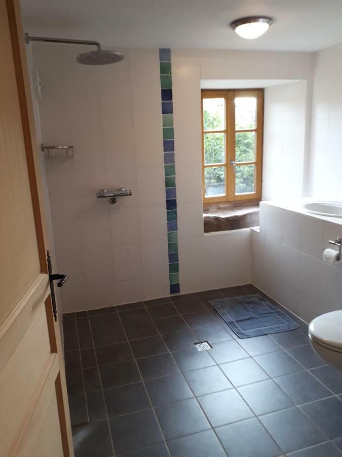 Serendipity Bed&Breakfast Saint-Die-des-Vosges Eksteriør bilde