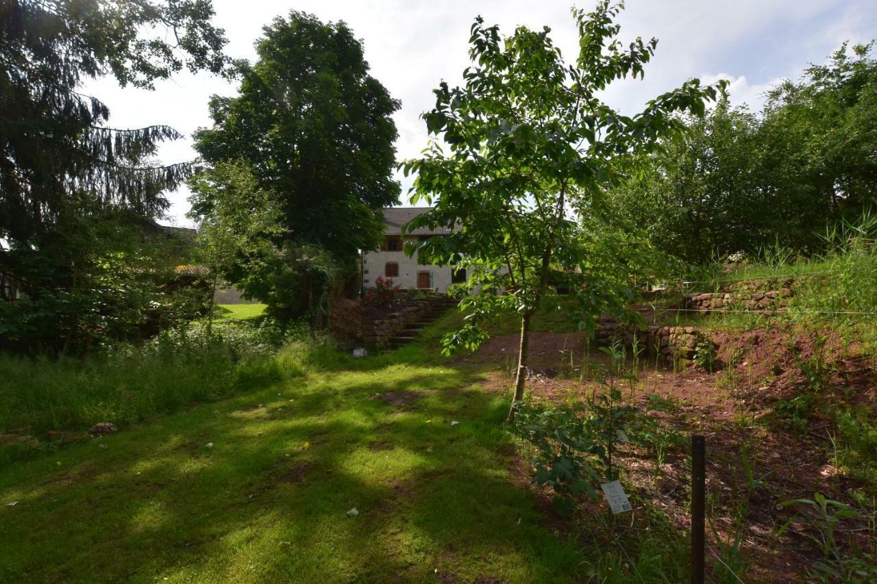 Serendipity Bed&Breakfast Saint-Die-des-Vosges Eksteriør bilde
